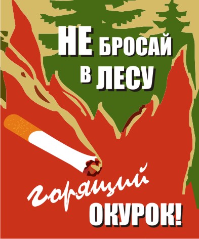 Сообщение