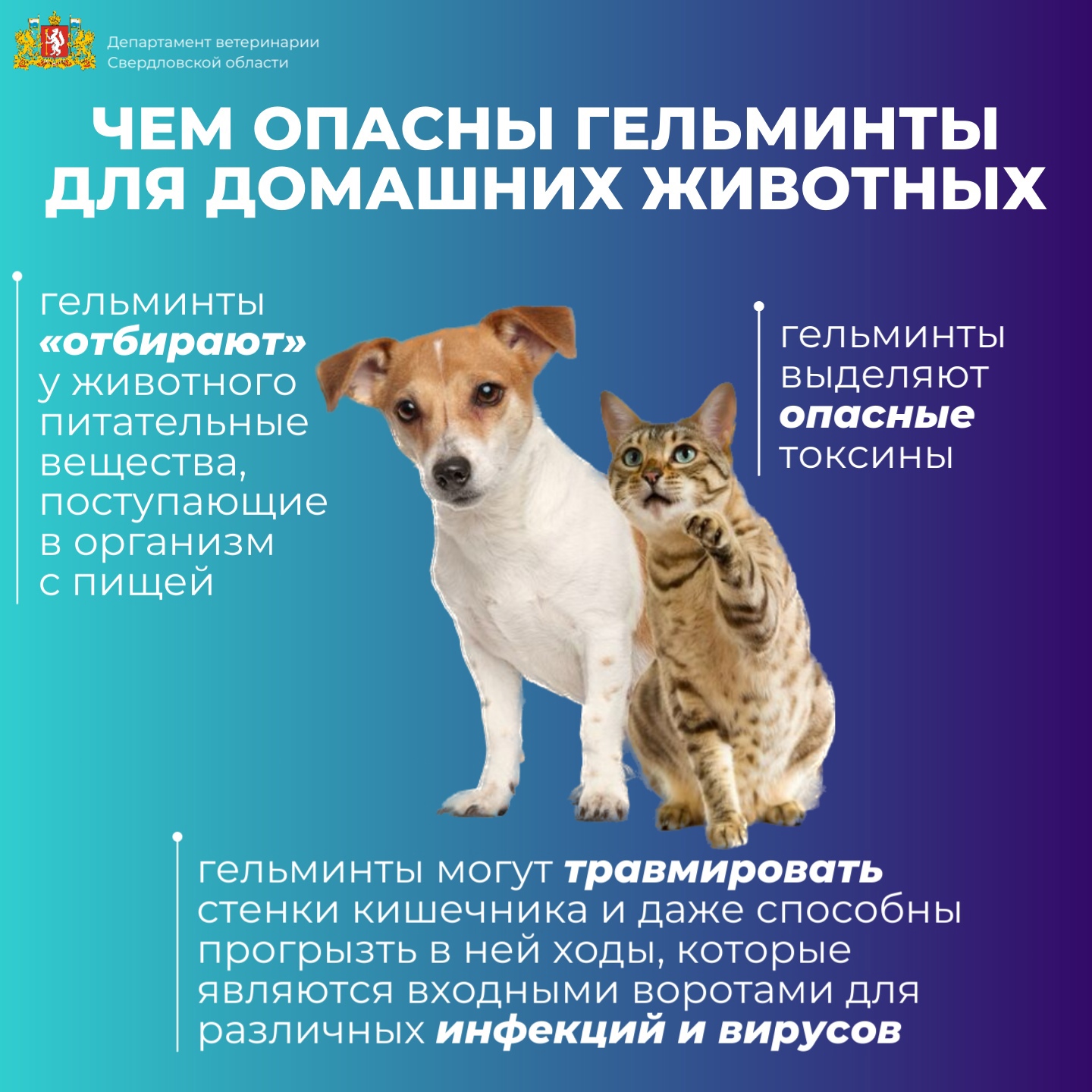 Сообщение
