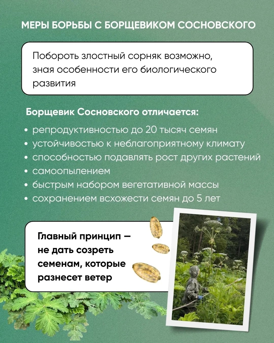 Сообщение Сообщение