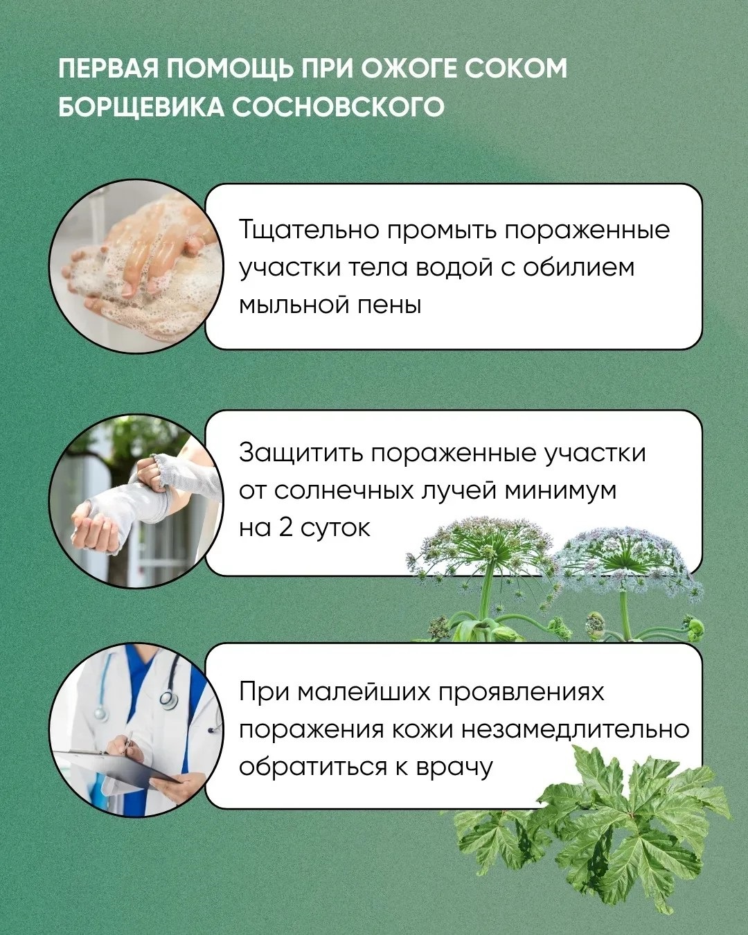 Сообщение Сообщение